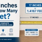 17 inches is how many feet