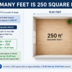 how many feet is 250 square feet