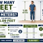 How Many Feet Is 1.55 Meters