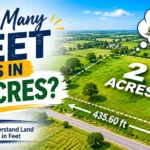 How Many Feet Is in 2 Acres