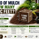 1 Yard of Mulch Is How Many Cubic Feet